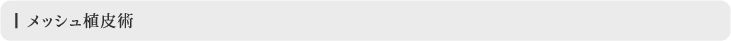 メッシュ植皮術